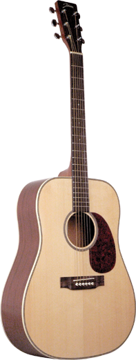 Johnson JD-06 Songwriter Series Guitar
