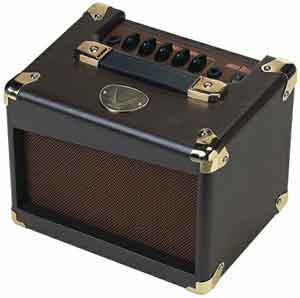 Dean Acoustic Amplifier