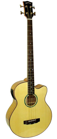 Gold Tone Acoustic Bass Guitar