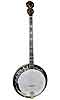 Gold Tone PS-250: Plectrum Special Banjo with Case - Bluegrass Instruments