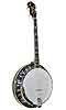 Gold Tone TS-250 Tenor Banjo with Case - Bluegrass Instruments