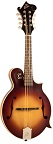 The Loar LM-590-MS Contemporary F-Style Mandolin - Bluegrass Instruments
