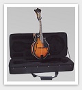 Savannah SF-100-SN F Model Mandolin - Bluegrass Instruments