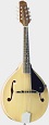 Savannah SA-120 Louisville A-Style Mandolin - Bluegrass Instruments