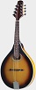 Savannah SA-110 Oval Hole Mandolin - Bluegrass Instruments