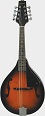 Savannah SA-100  A-Model Mandolin - Bluegrass Instruments