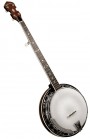 Gold Tone BG-250FW Banjo - Bluegrass Instruments
