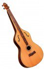 Gold Tone Dulciborn - Bluegrass Instruments