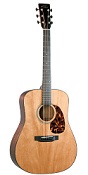 Recording King RD-T16 Torrefied Adirondack Spruce Top Dreadnought - Bluegrass Instruments