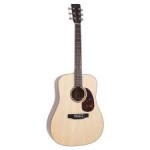 RD-G6 Recording King Solid Top Dreadnought - Bluegrass Instruments