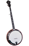 Gold Star GF100 Professional 5-String Resonator Banjo - Bluegrass Instruments