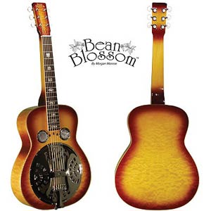 Morgan Monroe MDSQ-200 Deluxe Dobro