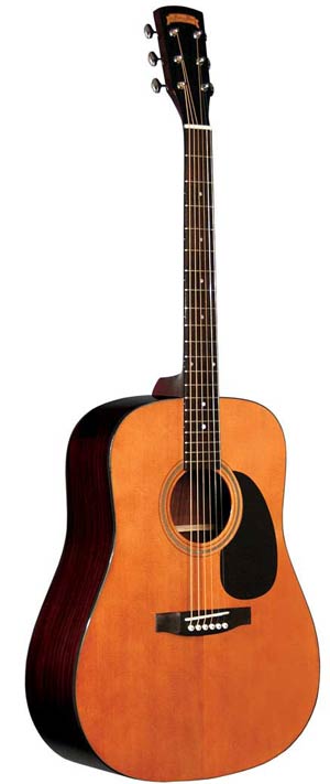 Morgan Monroe M15 Dreadnought